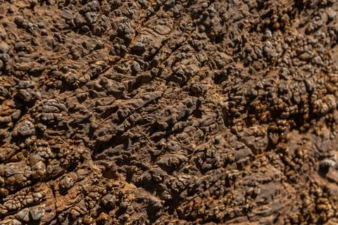 Mineral material surface closeup with natural pattern for design and decorati Foto stock
