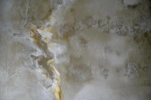 Mineral plasters as a background Stock Photos