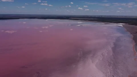 Mineral Resources White Crystal Salt Pink Lake Stock Footage 199127341