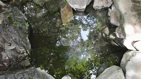 Mineral spring Stock Footage 103451328