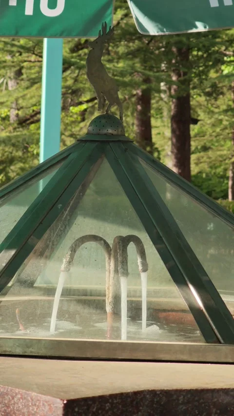 Mineral water spring flows under glass protection Vidéo 307866225