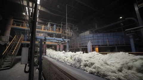 Mineral wool conveyor Stock Footage 61773571