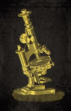 Mineralogical Stage Polarizing Compound Microscope Scientific Instrument En.. Stock Illustration
