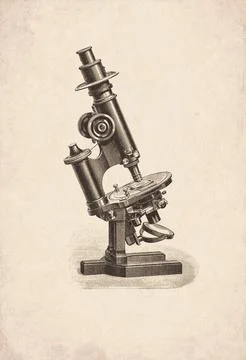 Mineralogical Stand Medium Size Microscope Scientific Instrument Engraving Stock Illustration