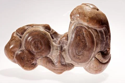 Minerals Foto stock gratuite