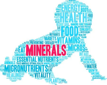 Minerals Word Cloud Illustrazione stock