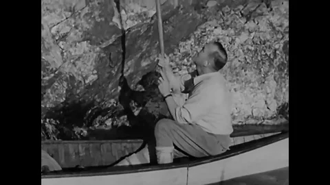 Miners work in Eldorado in 1944. Radium is loaded on the ships and transported Stock Footage 82390079