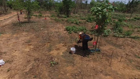 Minesweeper at work in Cambodia Stock Footage 114863414