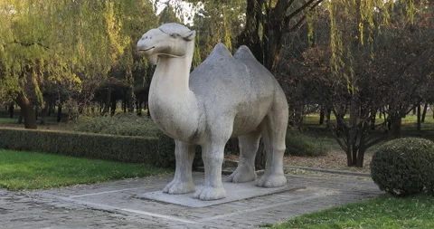 Ming Tombs Stock Footage 202931710