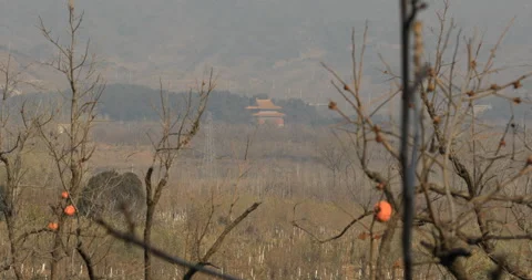 Ming Tombs Stock Footage 202991062