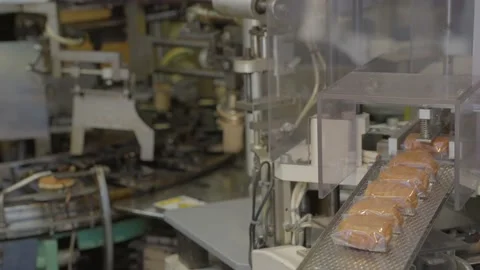 Mini automated machines packaging small cakes Stock Footage 224587460