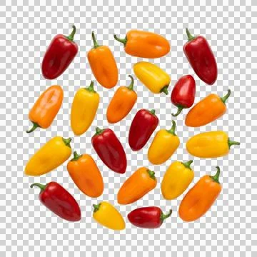 Mini bell peppers assortment red yellow orange colors arranged circle shape.. Stock Photos