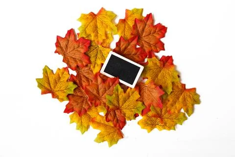 Mini blackboard on maple leaf and free space for text with white background. Stock Photos