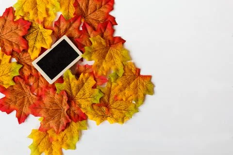 Mini blackboard on maple leaf and free space for text with white background. Stock-Fotos