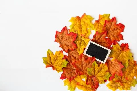 Mini blackboard on maple leaf and free space for text with white background. Stock Photos