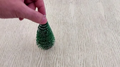 Mini bristle Christmas tree on light wood with festive green texture Video stock 323908739