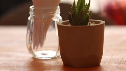 Mini cactus and napkin in a table Stock-Footage 133206999