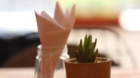 Mini cactus and napkin in a table 動画素材 133207050