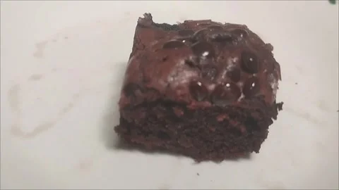 Mini Chocolate Brownie with Choco Chip Topping Stock Footage 296850301