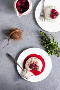 Mini chocolate cheesecake with raspberry sauce and mint. Stock Photos