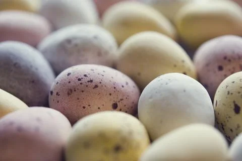Mini chocolate easter eggs up close Stock Photos