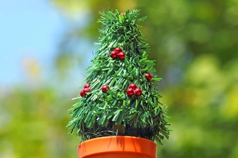 Mini Christmas tree Stock Photos