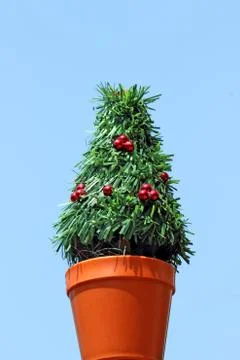 Mini Christmas tree Stock Photos