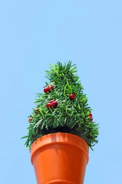 Mini Christmas tree Stock Photos