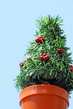 Mini Christmas tree Foto stock