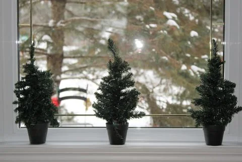 Mini Christmas trees on a window ledge with copy space Stock Photos