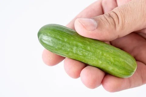 Mini Cucumber in the hand Foto stock