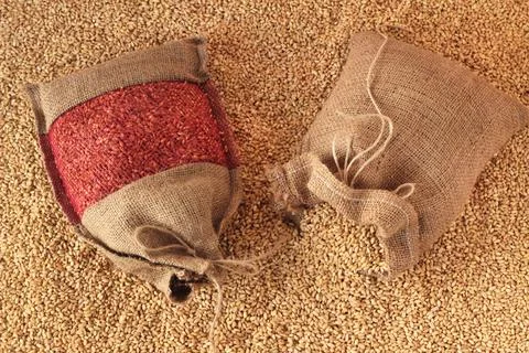 Mini different wheat jute sacks on wheat grains Stock Photos