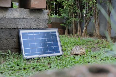 Mini electric solar cell panel set in Sugata turtle breeding area at home. .. Stock Photos