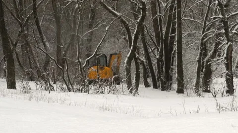A mini excavator is driving through a snow-covered park. Stock Footage 164284315