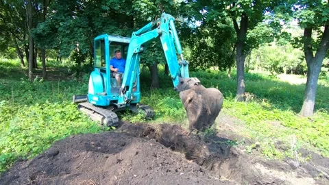 Mini excavator in work Stock-Footage 135439784