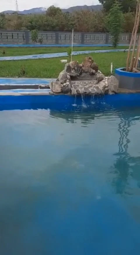 Mini fish pond Video stock 229685579