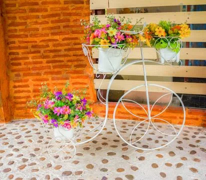 Mini Flower Pot Stock Photos