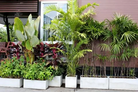 Mini garden. Stock-Fotos