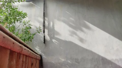 Mini garden with shadow on the wall 스톡 동영상 198679616