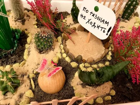 Mini garden tabletop. Stock Photos