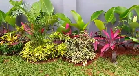 Mini Garden View Stock Footage 228777525