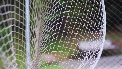 Mini golf ball flies into the net Video stock 118252077