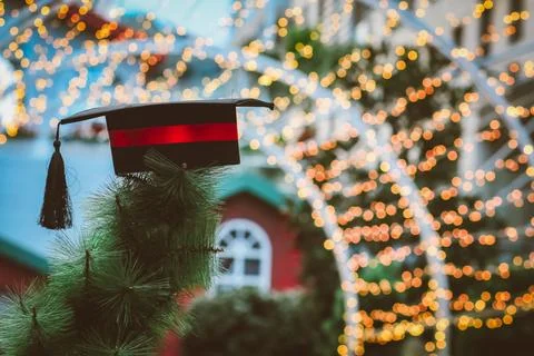 Mini graduation cap hanging above Christmas greenery Foto stock