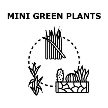 Mini green plants in pots and garden concept Stock Illustration