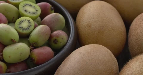 Mini kiwi and typical-sized kiwifruit. Video stock 308255061