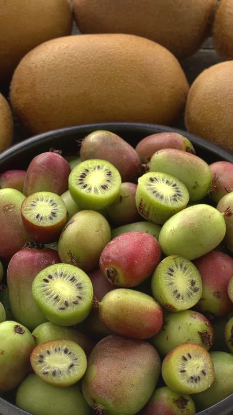 Mini kiwi and typical-sized kiwifruit. Vertical video. Stock Footage 308255089