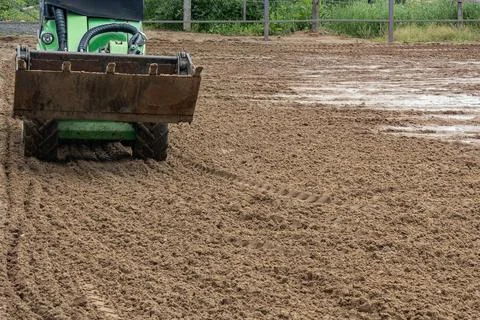 Mini loader levelling quartz sand surface on equestrian arena outdoor horse.. Stock Photos