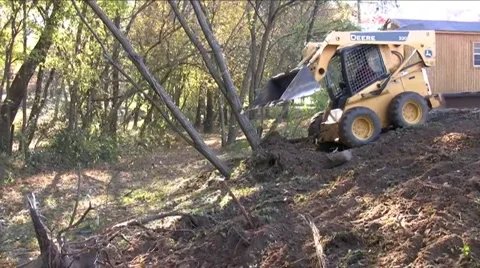 Mini loader pushing tree down Video stock 926981