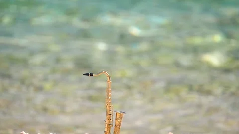 Mini model of real alt tenor saxophone stands white small pebbles on seashore Stock Footage 139073471