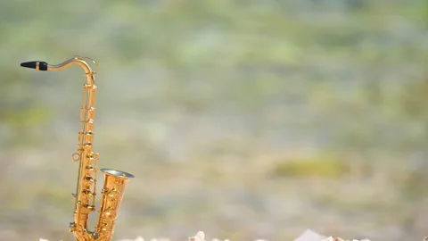 Mini model of real alt tenor saxophone stands white small pebbles on seashore Stock Footage 139074052